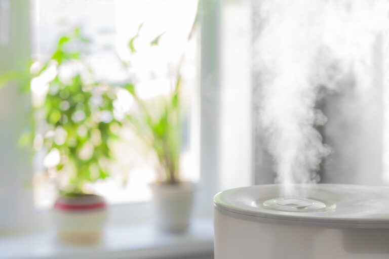Humidifiers Unveiled – Your Ultimate Guide to Answering All Your Questions  