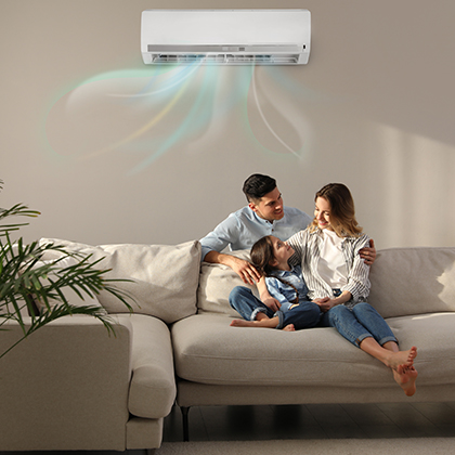 Ductless Mini-Splits